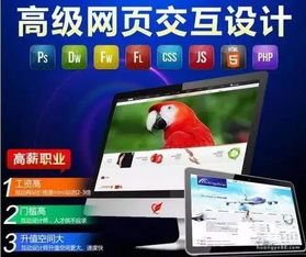 數(shù)字媒體應(yīng)用技術(shù)專業(yè)