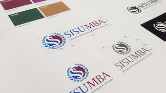 舍可策劃案例 上海外國語大學mba 品牌符號 vi設計 畫冊設計 網站設計 年度宣傳設計