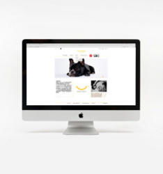 azong moko 寵物食品網(wǎng)站設(shè)計(jì)