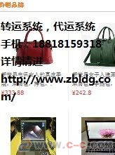 圣盧西亞轉運系統,圣盧西亞轉運網站建設