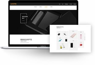 包裝行業網站建設 樂品官網建設 禮品行業網站開發 上海網站建設公司 邁若網絡網站設計案例