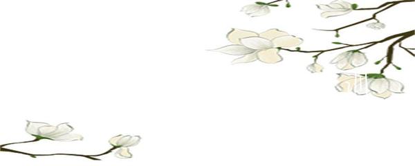 上海寶山網(wǎng)頁設(shè)計(jì)培訓(xùn)