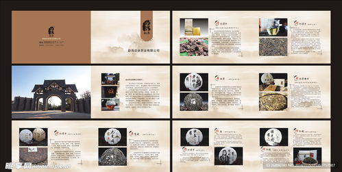 茶葉產(chǎn)品畫冊設(shè)計圖