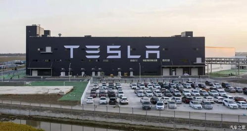 又一個“特斯拉殺手”？今年最大IPO誕生，網頁設計行業迎來新變革