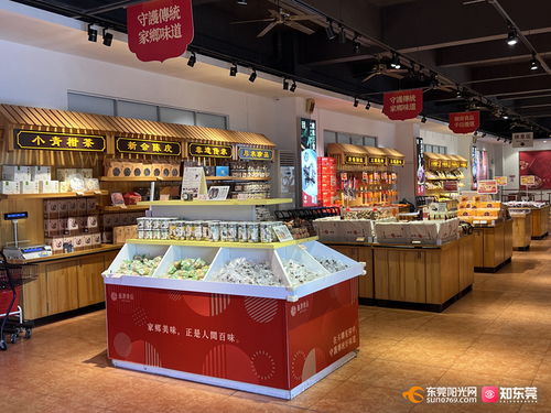 美味生活 東莞造 50余家莞企匯聚上海網頁開發展，共抓商機促發展